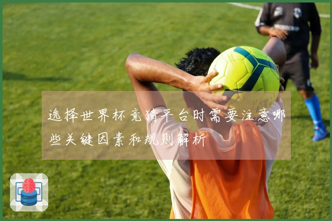 选择世界杯竞猜平台时需要注意哪些关键因素和规则解析