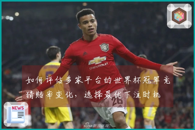 如何评估多家平台的世界杯冠军竞猜赔率变化，选择最优下注时机
