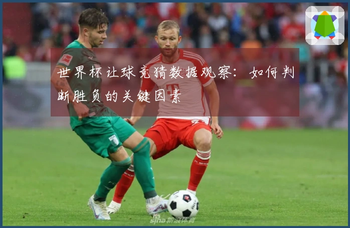 世界杯让球竞猜数据观察：如何判断胜负的关键因素