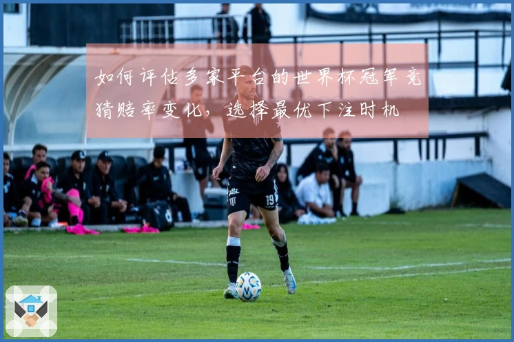 如何评估多家平台的世界杯冠军竞猜赔率变化，选择最优下注时机